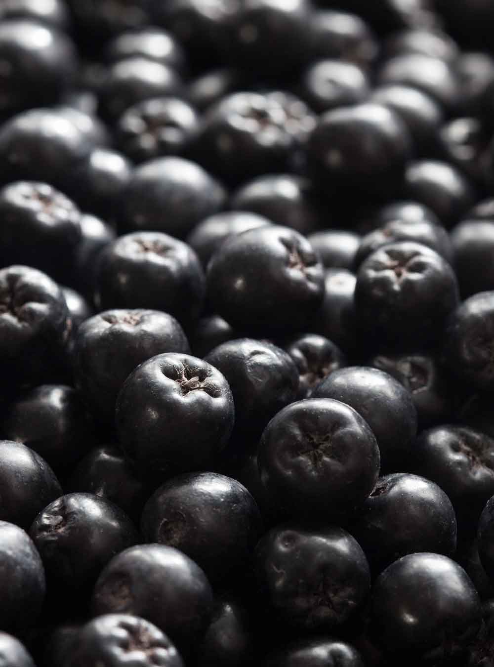 rausch_kraeuter_aronia.jpg